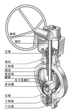 雙偏心蝶閥結(jié)構(gòu)圖